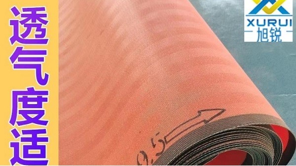 天津脫硫濾布哪里買-準確過濾透氣適中[旭瑞網業(yè)]
