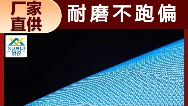 聚酯復合機網帶-耐高溫耐磨損防止跑偏[旭瑞網業(yè)]