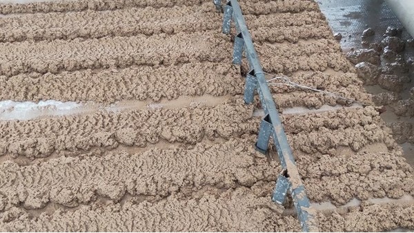 帶式壓濾機(jī)濾布老是跑偏打折怎么辦？耐磨、不跑偏濾布【旭瑞網(wǎng)業(yè)】